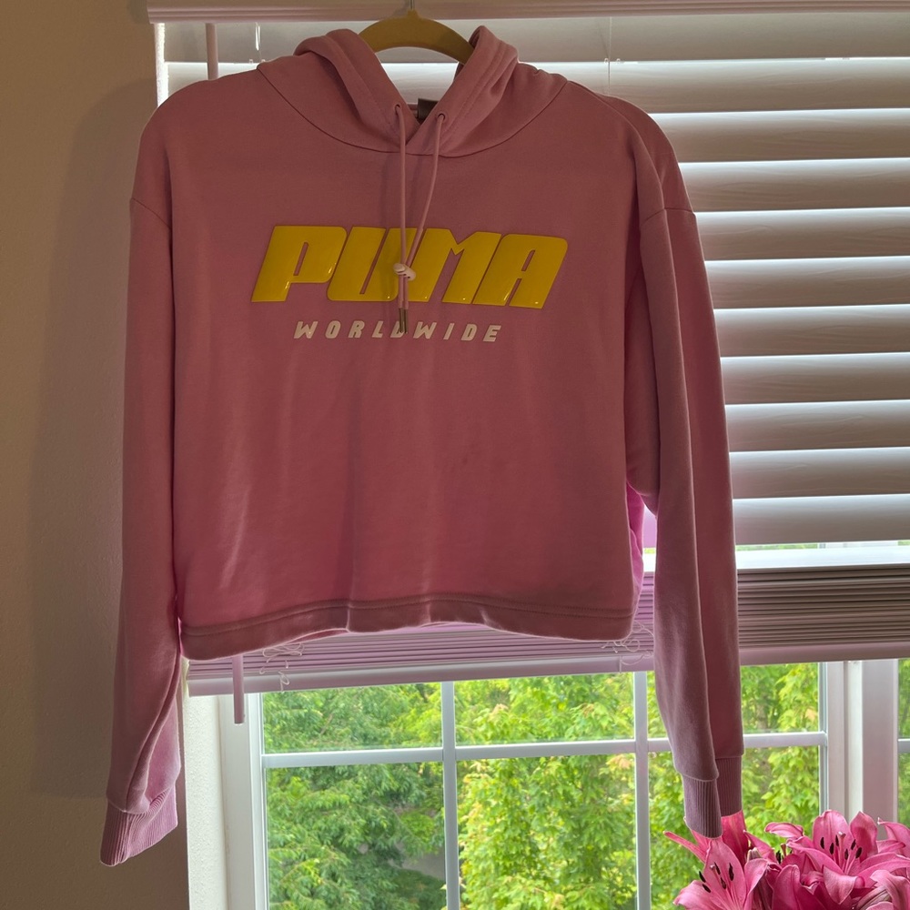 Puma Bubble Letter Cropped hoodie